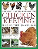 The Practical Encyclopedia of Chicken Keeping: Breed Identifier - Rearing - Care by 