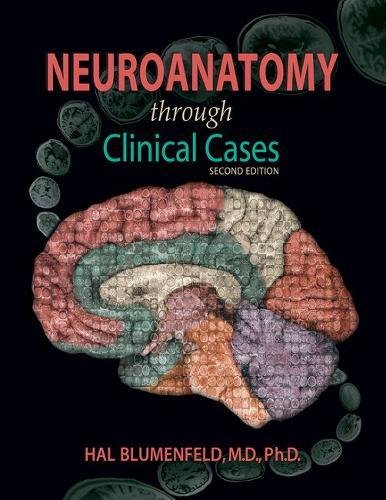 Download Neuroanatomy through Clinical Cases