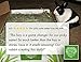 Small Pet Select 2nd Cutting Perfect Blend Timothy Hay Pet Food for Rabbits, Guinea Pigs, Chinchillas and Other Small Animals, Premium Natural Hay Grown in The US, 25 LB