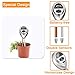 Soil Tester, 3 in 1 Soil Test Kit for Moisture, Light & pH Meter for Plant, Vegetables, Garden, Lawn, Farm, Indoor/Outdoor Plant Care Soil Tester (No Battery Need & 2019 Update) (Silver)thumb 4