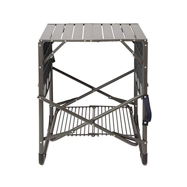 Cuisinart-CFGS-222-Take-Along-Grill-Stand