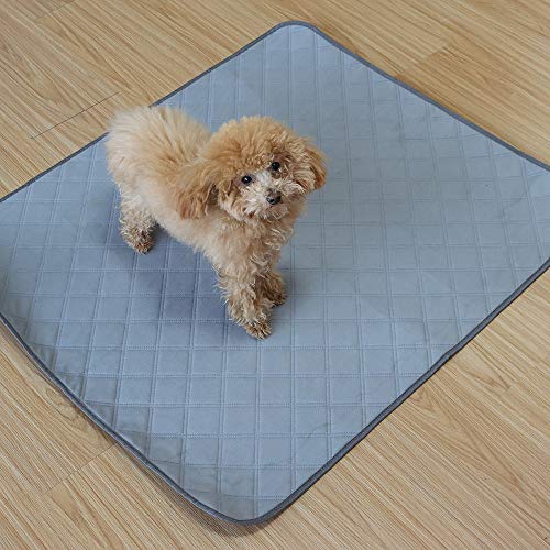 Luzvida Dog Puppy Pee Pads 2 Pack Reusable Washable Leak Proof Pet Training Pad Mat with Fast Absorbing Surface and Nonslip Dots for Indoor and Outdoor Use (35.4\