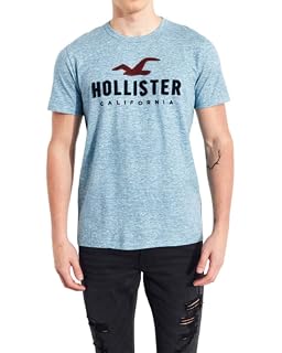 Hollister Applique Logo Graphic Tee 