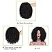 ENTRANCED STYLES Synthetic Curly Wig For Women Kinky Afro Wigs for Black Women Full Wigs Heat Resistant Fiber (280g 14