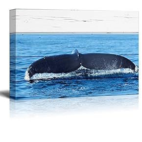 Wll Art Whale Tail on Vintage Wooden Feeling Background and
