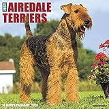 Just Airedale Terriers 2020 Wall Calendar (Dog Breed Calendar) by
