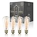 Amber Dimmable Incandescent Light Bulbs 60 Watt ST64 Style - 4 Pack Edison Bulbs, E26 | E27 Base, 2200K Warm White, 210 Lumens, Vintage Exposed Filament, 2500 Hr Lifespan, for Indoor & Outdoor Use