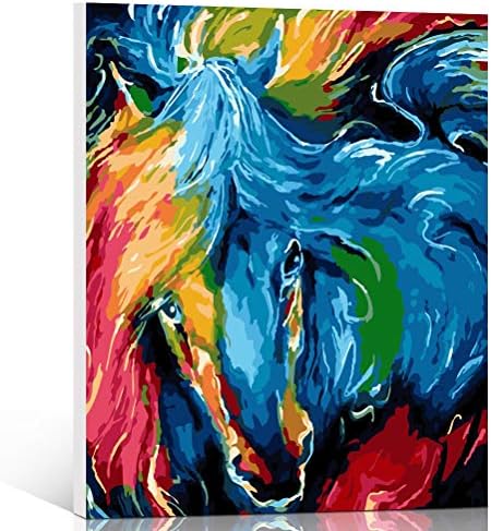 Fengtuo DIY Oil Painting Paint by Number Kit Canvas Painting Hand Colouring Decorative Picture for Design Abstract Horse 16"X 20"- Framed