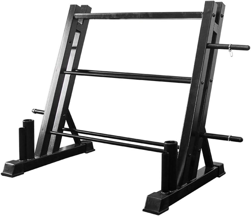 Delarsy Dumbbell Weight Rack Storage Stand Home Workout Gym Sports Strength Training Dumbbell Racks (Large) : Sports & Outdoors