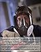 3M 6800 Lightweight Reusable Full Facepiece Respirator (Size M - 2 Pack)
