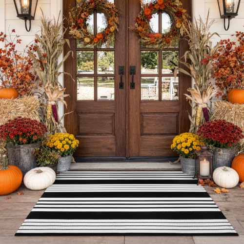 ojia Black White Outdoor Rug 3x5