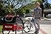 Allen Sports Premium Aluminum 2 Child Bicycle Trailer and Stroller