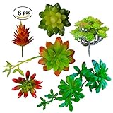 WINDSCAPE 6 Pcs Assorted Artificial Succulent Plants, Decorative Hand Crafted Fake Succulents, Artificial Succulents, Unpotted Faux Succulents, Red and Green Textured Fake Succulent Plants