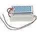 ATWFS Ceramic Ozone Generator 110V 10g/H Double Ceramic Plate Air Purifier Ozonizer