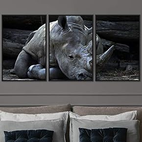 signwin 3 Piece Framed Canvas Wall Art Resting...