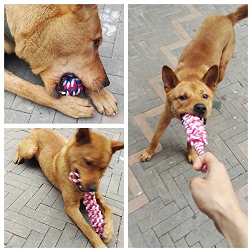 3 Sets Pet Toy, Dog Rope Toys Dog Chew Toy, Braided Rope Dog Toy, for Small and Medium Dogs