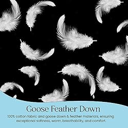 East Coast Bedding Cozy Dream Goose Down and