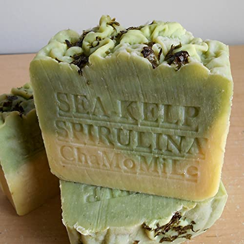 Natural Handcrafted Soap Company Handmade 7 oz. Bar Soap Fresh Organic Sea Kelp Moss with Chamomile Herb Organic Cocoa Butter Handmade !