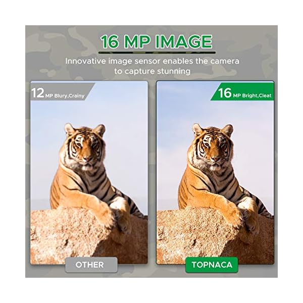 Topnaca Wildkamera Fotofalle 1080P HD Jagdkamera, IP66 Überwachungskamera mit, wasserdichte Aufklärungskamera mit 0,2s… – Bild 3