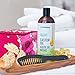 Offernova Castor Oil 16 OZ- Aceite de Ricino - Cold Pressed 100% Pure, Certified Organic, Hexane Free for Eyelashes, Eyebrows, Frizzy, Hair Growth Women and Men, Beard Growth
