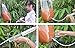 TOTAL SURVIVAL Ceramic Water Filter Bag to Purify Water for Camping / Hiking / Emergency, 6 Liter Capacity