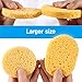 SkinCareMedi Compressed Cellulose Eco Sponges For Face & Neck (60 pcs) / Daily facial cleansing and makeup removal / Natural untreated Cellulose Fiber