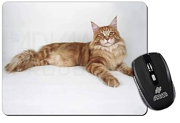Red Maine Coon Katze Computer Maus Matte Pad