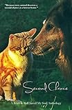 Second Chance by Rock and Roll Saved My Soul