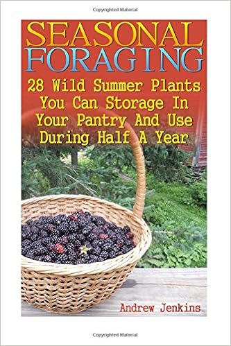 Seasonal Foraging 28 Wild Summer Plants You Can Storage In Your