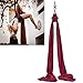 F.Life Aerial Silks For Aerial yoga Hommock Or Aerial Acrobatics (10 yards) with the Equipment ,Guide