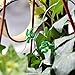 AceList Mini Cactus Cacti Copper String Light 30 LED Cute Cactus for Bedroom Party Branches Tree Lighting Decor Decoration Battery Operated