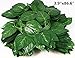 Hamiledyi 4 Pcs Flexible Bend A Branch Jungle Vines Terrarium Leaves Lizard Gecko Habitat Tank Decor for Frogs Snakes and More Reptiles