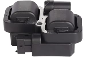 ENA Set of 1 Ignition Coil Compatible with Polaris Sea-Doo Ski-Doo Can-Am Commander RZR 170 570 800 900 1000 XP EFI S S4 Scrambler Replacement for 2876049 4010425 278001546 270600002 420266070