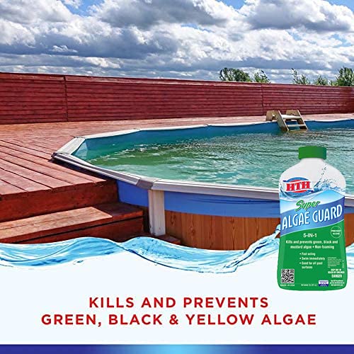 HTH 67032 Super Algae Guard Swimming Pool Algaecide Cleanser, 1 qt