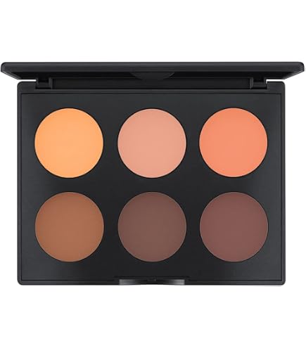 Amazon.com : MAC Studio Fix Sculpt and Shape Contour Palette