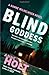 Blind Goddess: Hanne Wilhelmsen Book One (A Hanne Wilhelmsen Novel)