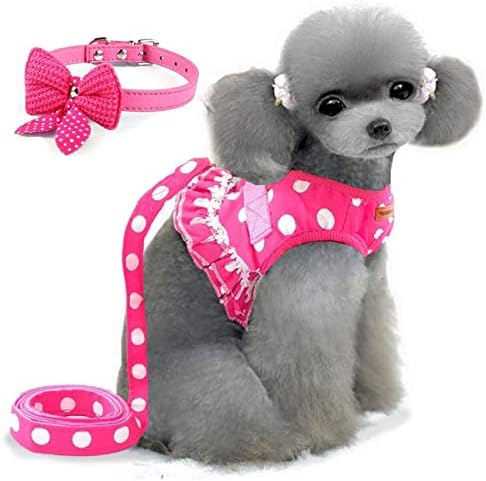 Cute Small Dog Harness, Ladies Polka Dots Dog Vest Harness Set with Pink Leash and Bowknot Collar, 3 in 1 Girl Style Vest Harness Set for Puppy and Cat (L, Pink)