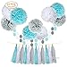 Umiss 23pcs Party Tissue Pom Poms Tissue Flowers Baby Blue White Grey Baby Boy Shower/Party Paper Decorations First Birthday Boy Tissue Flowers Tassel Garland Circle Paper Baby Shower Decorations