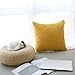 Kevin Textile Decor Velvet Throw Pillow Covers, Striped Decorative Pillow Case Handmade Cushion Cover for Couch, 18x18 inches,2 Pieces,Primrose Yellow