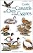 Guide des canards, des oies et des cygnes by