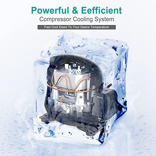 Phiestina Wine and Beverage Refrigerator 30 Inch BuiltIn Dual Zone