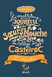 L'incendie (Le malicieux journal des sœurs Mouche au collège de Castelroc t. 4) (French Edition) by 
