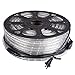DELight 150ft LED Rope Light Valentines Home Holiday Party Disco Restaurant Cafe Decor 2 Wire 1620pcs Bulbs White