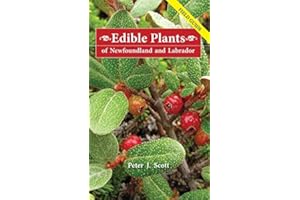 Edible Plants of Newfoundland and Labrador: Field Guide