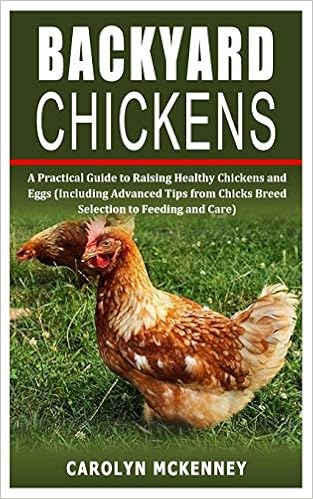 Backyard Chickens A Practical Guide To Raising Healthy Chickens