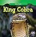 King Cobra (Killer Snakes)