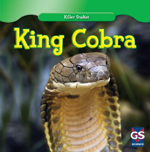King Cobra (Killer Snakes)