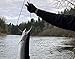 Rogue Endeavor Large Stainless Steel Spearfishing Stringer & Big Game Clip- Spearfishing,Kayak Fishing & Scuba Diving - Sharpened Tip with Puncture Guards