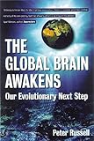 The Global Brain Awakens: Our Next Evolutionary Leap by