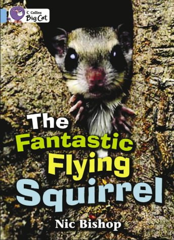 The Fantastic Flying Squirrel (Collins Big Cat)